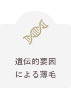 遺伝的要因による薄毛